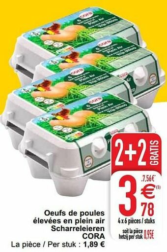 Oeufs de poules élevées en plein air scharreleieren cora