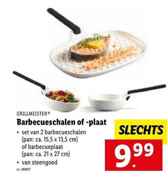 Barbecueschalen Of Plaat