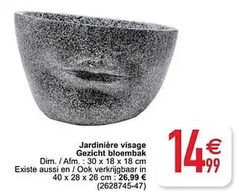 Cora Jardinière visage gezicht bloembak aanbieding