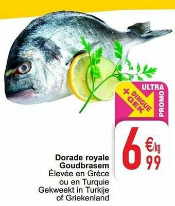 Cora Dorade royale goudbrasem aanbieding