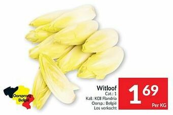 Witloof