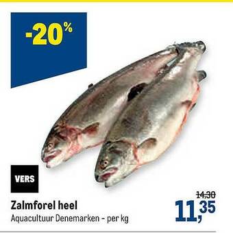 Zalmforel Heel