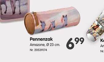 Fun Pennenzak aanbieding