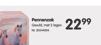 Fun Pennenzak aanbieding