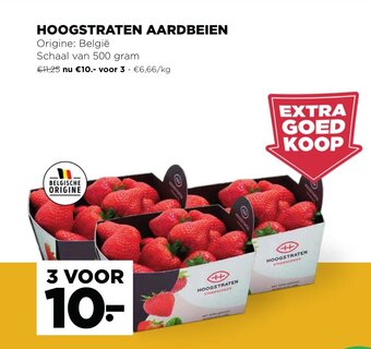 Hoogstraten Aardbeien