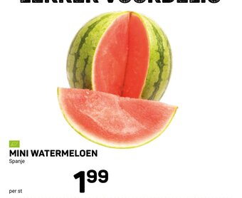 Ekoplaza Mini Watermeloen aanbieding