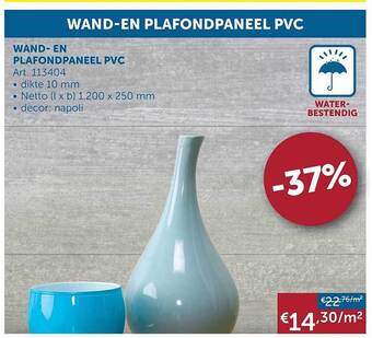 Zelfbouwmarkt Wand- En Plafondpaneel Pvc aanbieding
