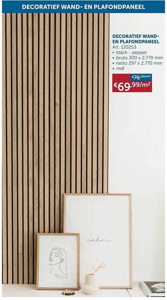 Zelfbouwmarkt Decoratief Wand- En Plafondpaneel aanbieding