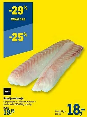 Kabeljauwhaasje