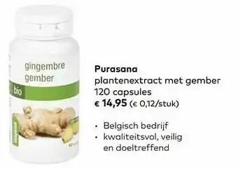 Purasana plantenextract met gember