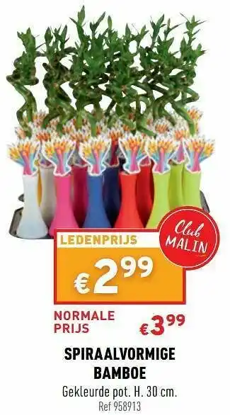 Spiraalvormige bamboe