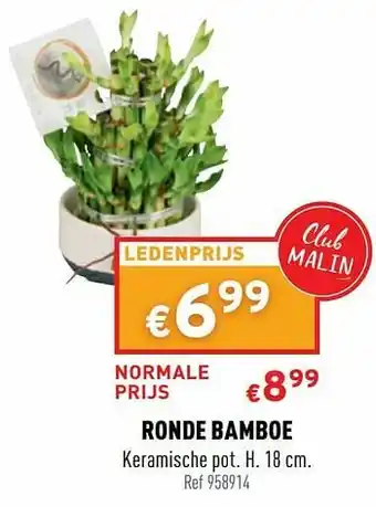 Trafic Ronde bamboe aanbieding