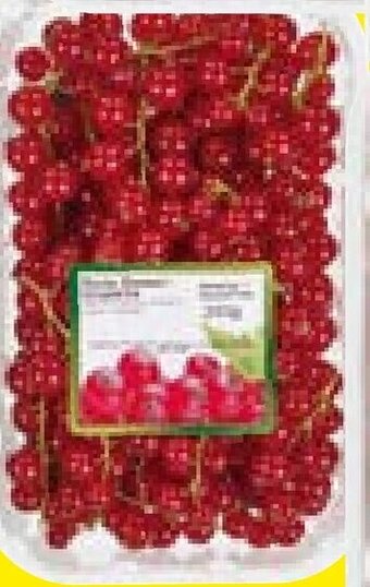 Lidl Rode bessen 250 g aanbieding