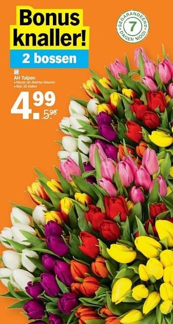 Albert Heijn Ah tulpen aanbieding