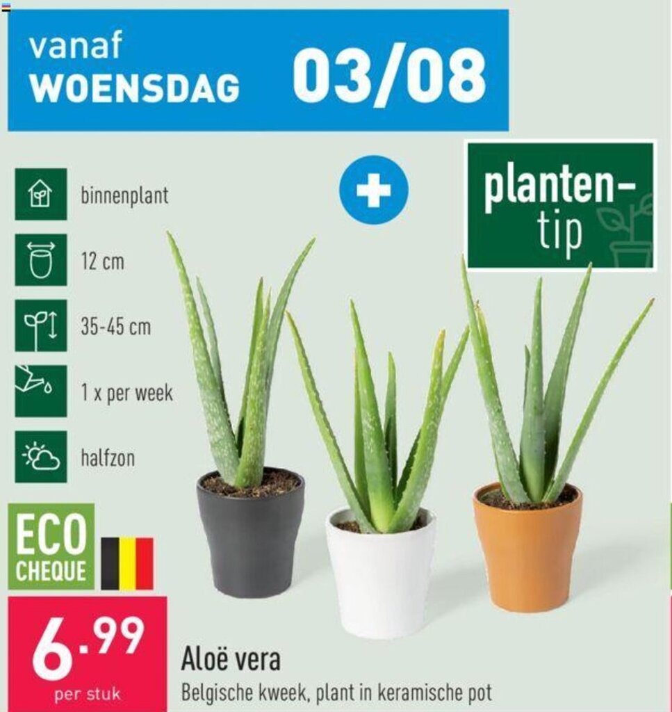 Aloe vera promotie bij ALDI