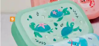 Carrefour Lunchbox schildpad aanbieding