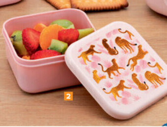 Carrefour Lunchbox 3 in 1 luipaard aanbieding