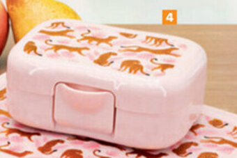 Koekjesdoos luipaard
