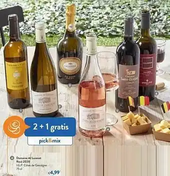 Domaine de luzanet rosé 2020 i.g.p. côtes de gascogne