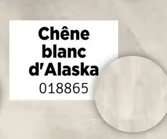 Mr Bricolage Pergo Sol Vinyle Namsen Pro Chêne Blanc d'Alaska 018865 aanbieding