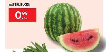 Alvo Watermeloen aanbieding