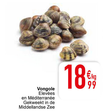 Cora Vongole aanbieding