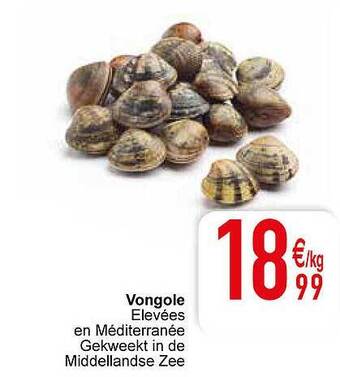 Cora Vongole aanbieding