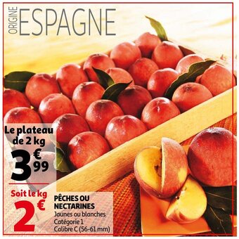Pêches ou Nectarines