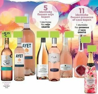 Le cabochon du sud syrah rosé