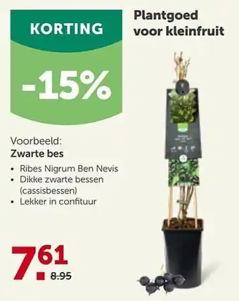Plantgoed voor kleinfruit