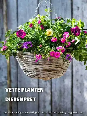 Vette planten dierenpret