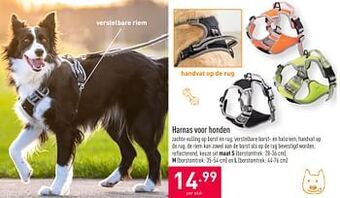 ALDI Harnas voor honden aanbieding