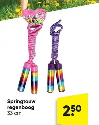 Big Bazar Springtouw regenboog aanbieding