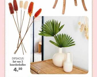 Casa Dipsacus set van 2 kaardenbollen aanbieding