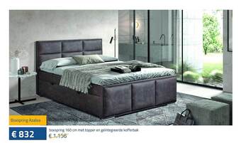 Boxspring azalea