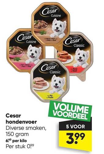 Big Bazar Cesar hondenvoer aanbieding