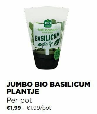 Jumbo bio basilicum plantje