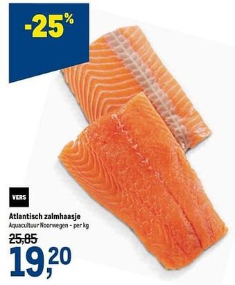 Atlantisch zalmhaasje