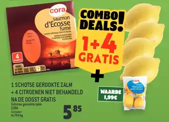 1 Schotse Gerookte Zalm + 4 Citroenen Nie Behandeld Na De Oogst Gratis