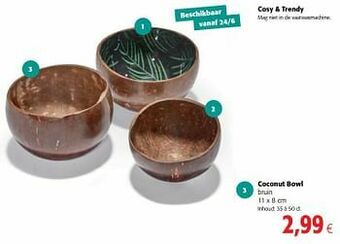 Cosy + trendy coconut bowl bruin