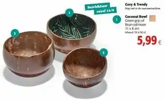 Cosy + trendy coconut bowl groen-grijs of bruin-zalmroze