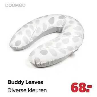 Buddy leaves