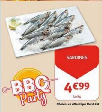 Sardines