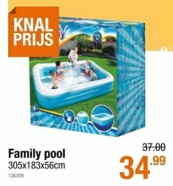 Family pool