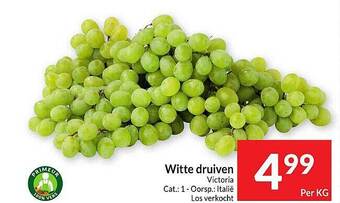 Witte druiven