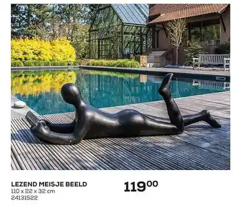 Lezend Meisje Beeld