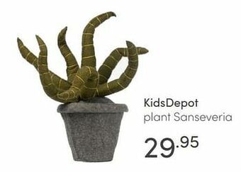 Baby & Tiener Kidsdepot plant sanseveria aanbieding