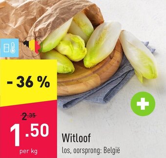 ALDI Witloof aanbieding