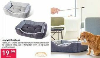 ALDI Mand voor huisdieren aanbieding