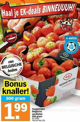 Hoogstraten belgische aardbeien